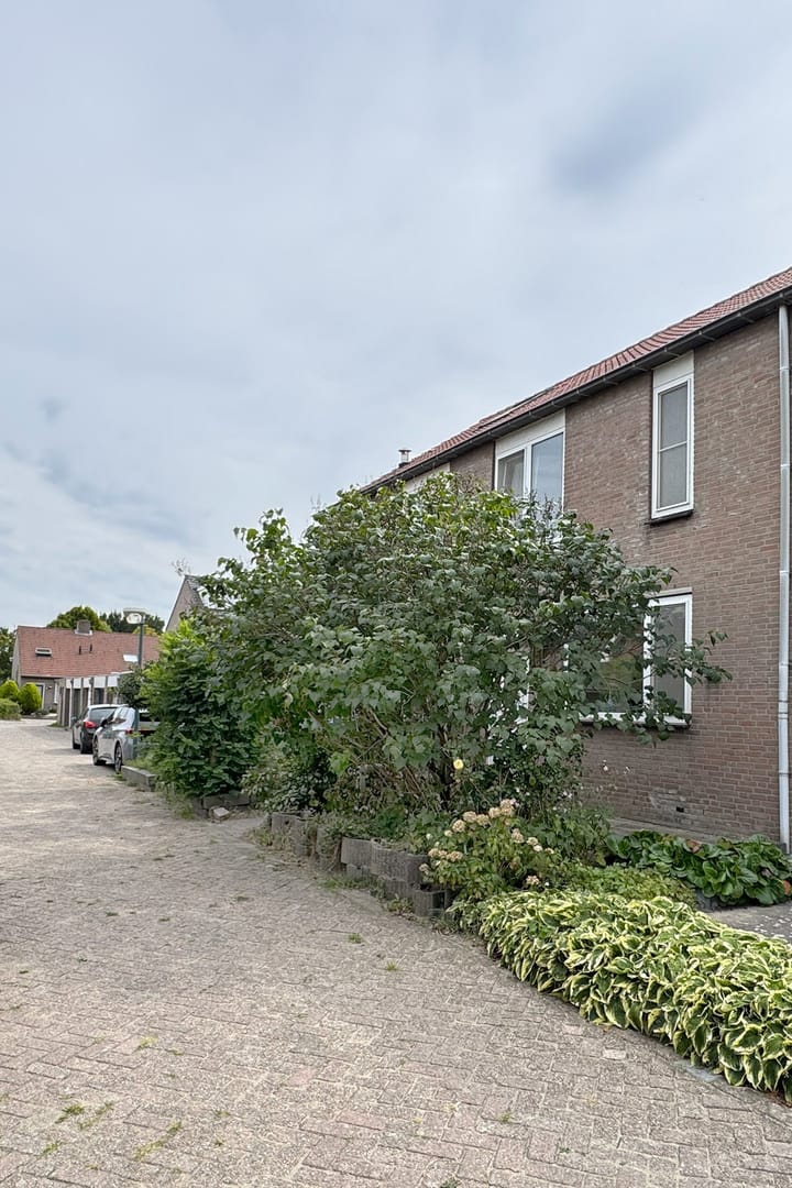 Foto 50 van 't Magesijn 40