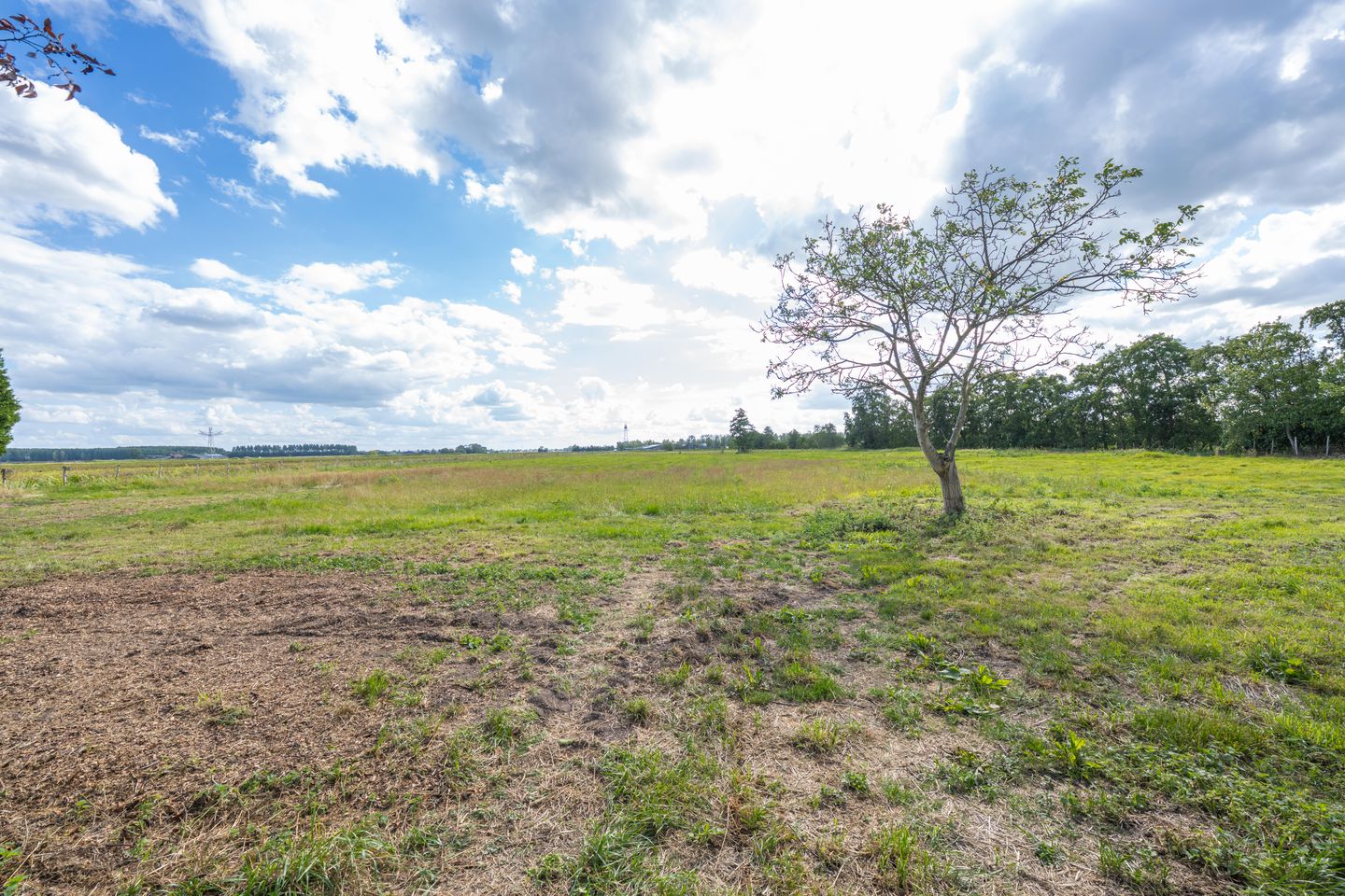 Foto 95 van Geerstraat 1