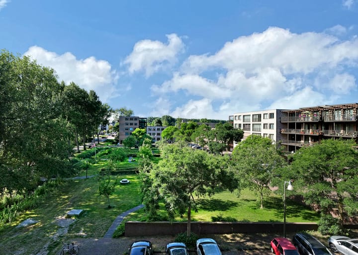 Foto 27 van Tuinderspad 142