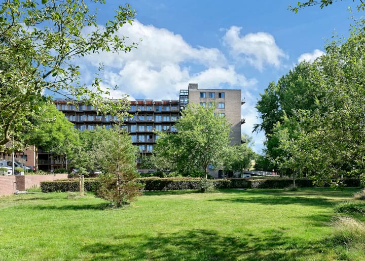 Foto 29 van Tuinderspad 142