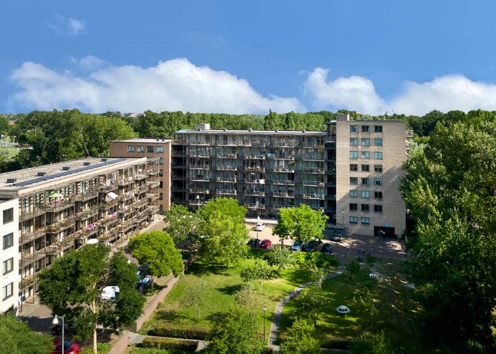 Foto 31 van Tuinderspad 142