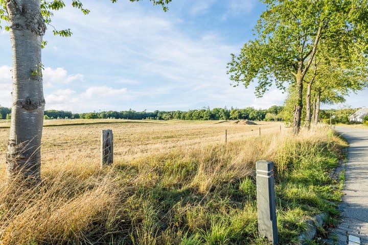 Photo 70 of Prinsenweg 6