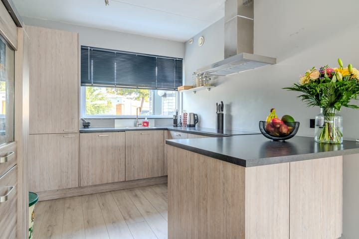 Foto 11 van Brielsemeer 38