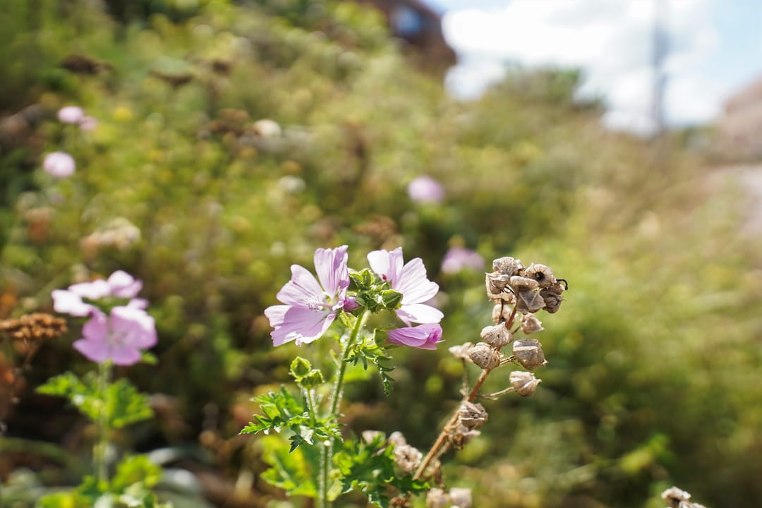 Foto 31 van Wijmpje Koopmanstraat 38