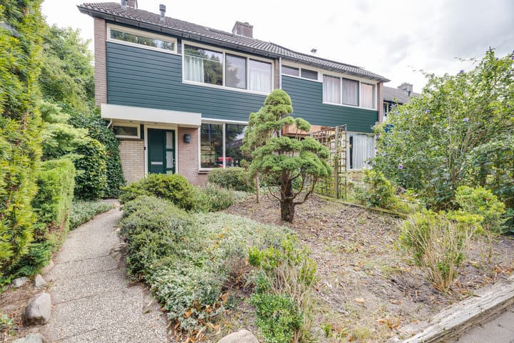 Foto 41 van Schoutenveld 301