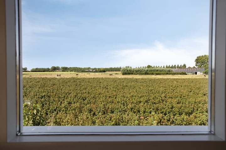 Photo 24 of Slaakweg 16