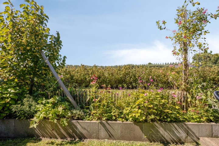 Photo 31 of Slaakweg 16