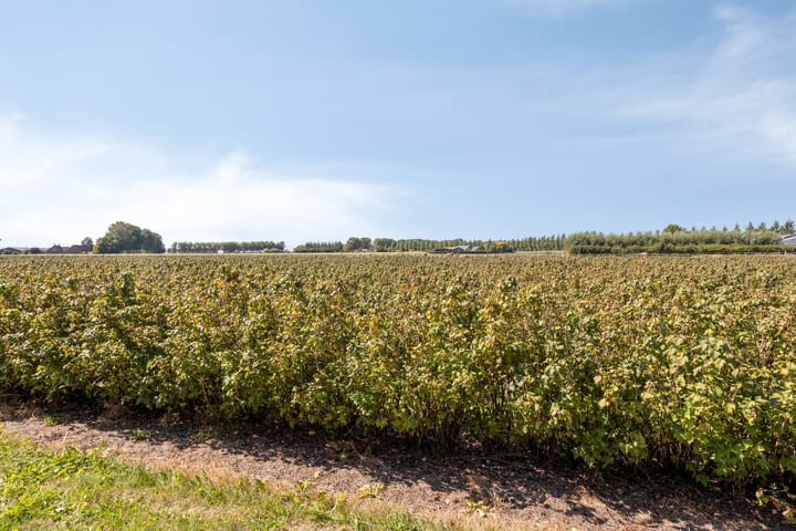 Photo 34 of Slaakweg 16