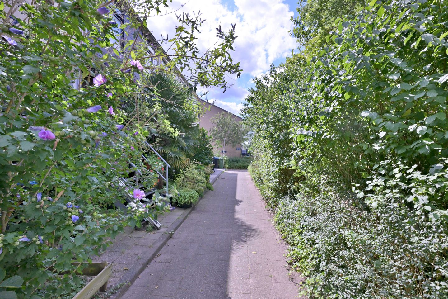 Photo 40 of Kannenburg 614