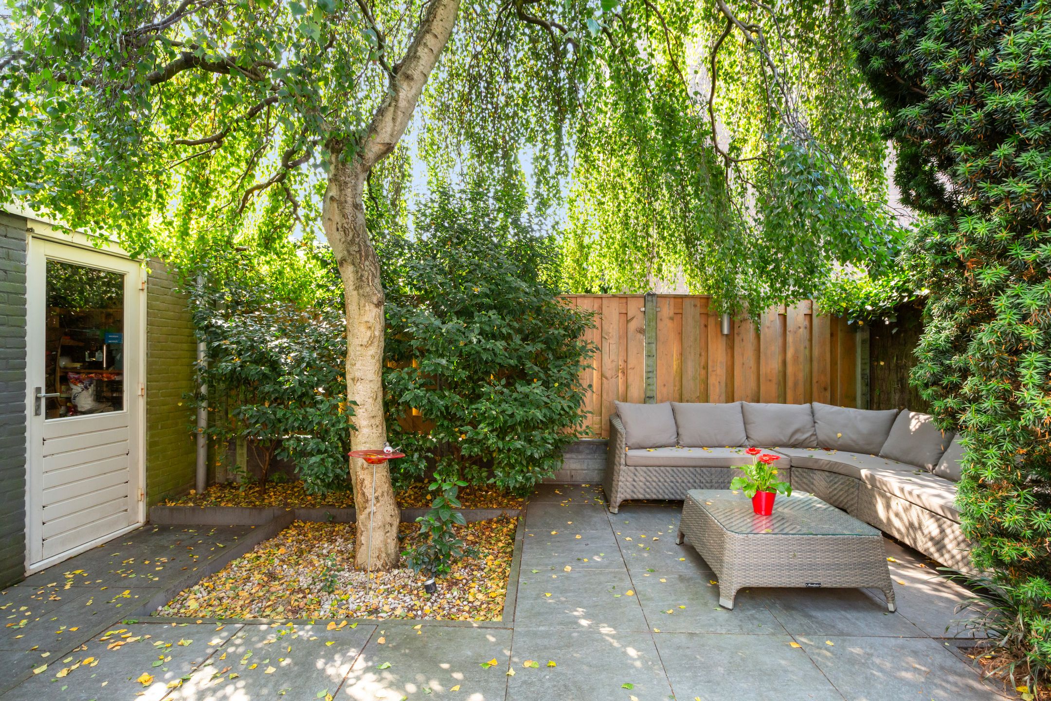 Foto 45 van Zwaluwstraat 81