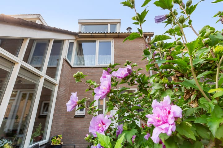 Foto 49 van Zwaluwstraat 81