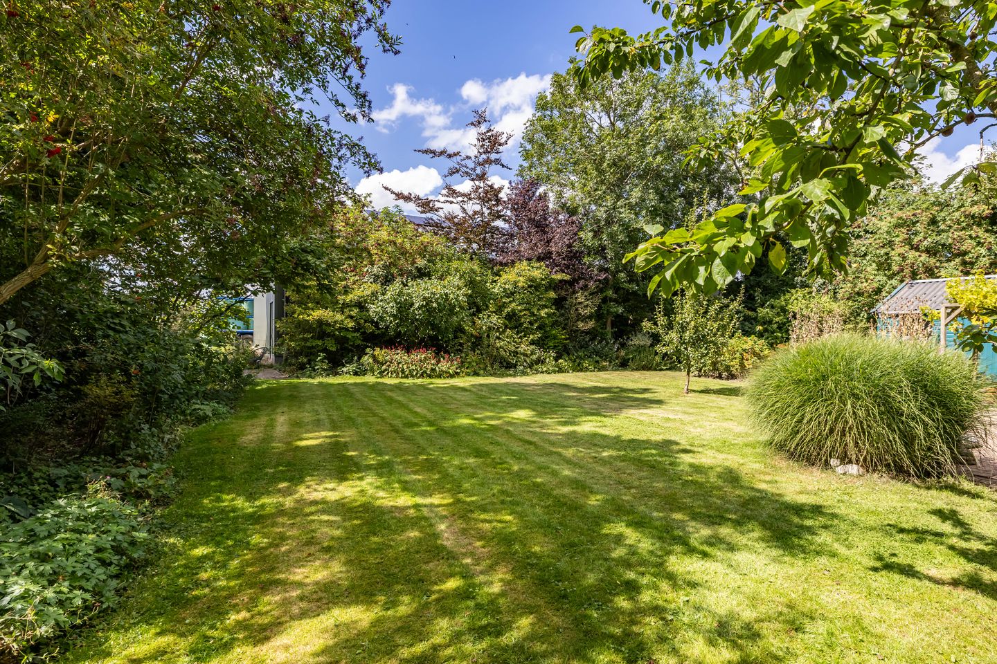 Foto 35 van Krassumerstraat 23