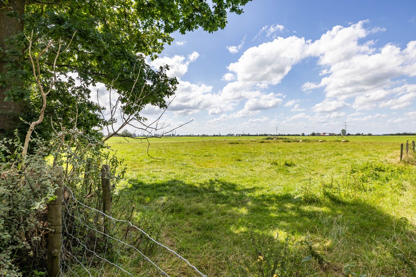 Foto 40 van Krassumerstraat 23