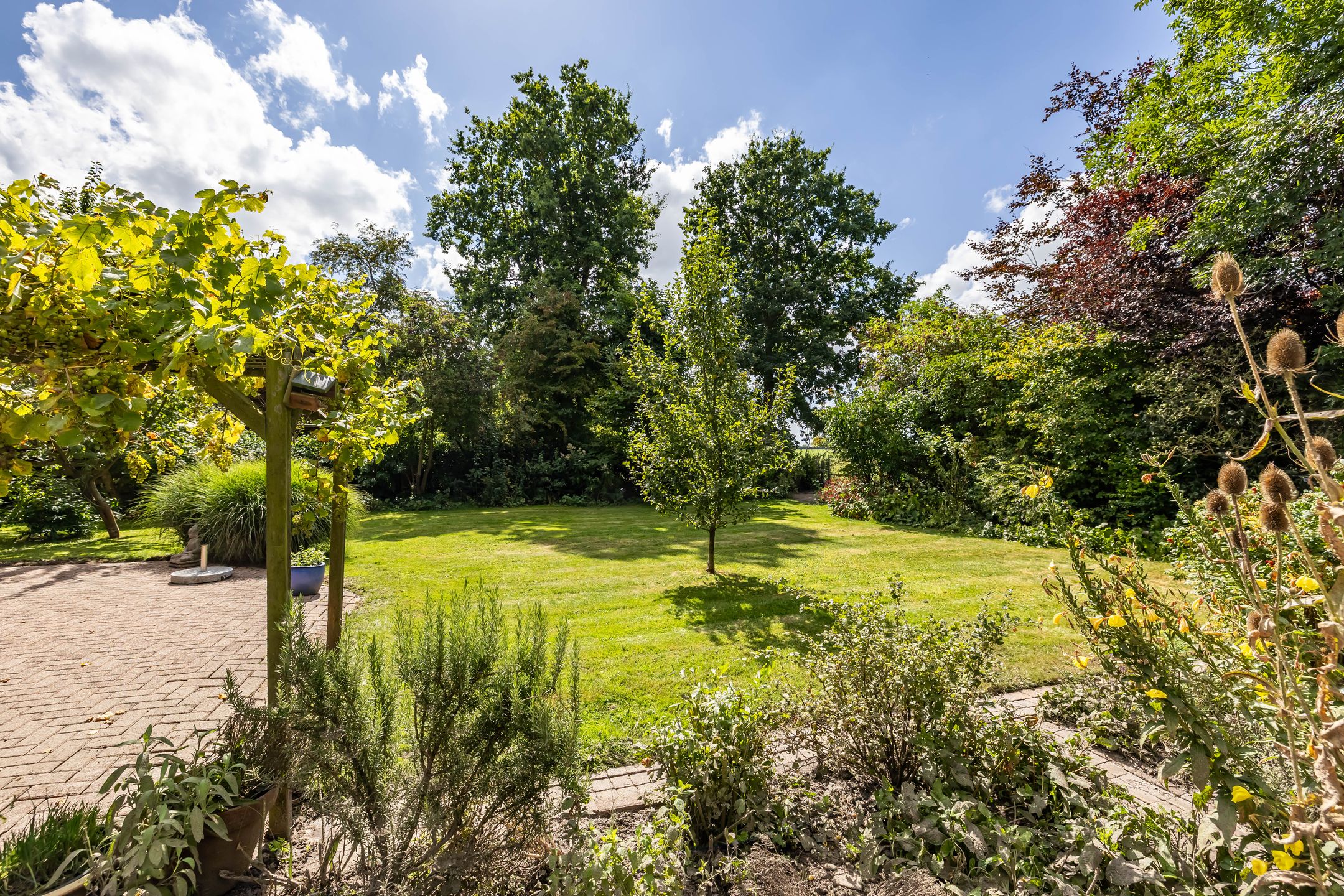 Foto 51 van Krassumerstraat 23