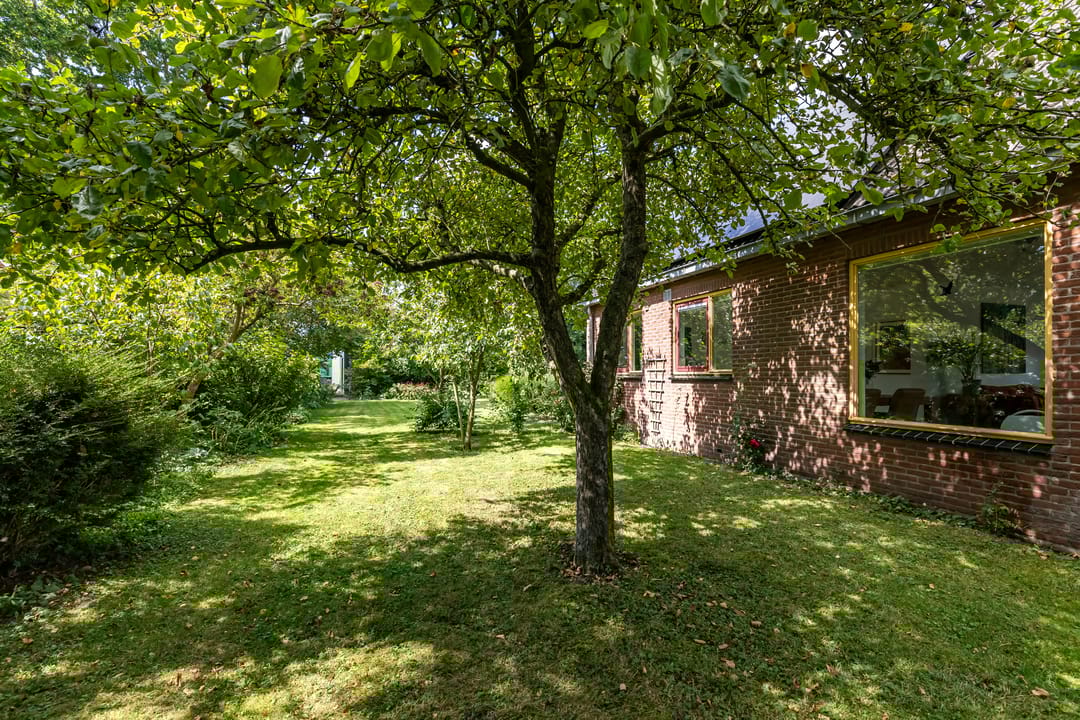 Foto 58 van Krassumerstraat 23