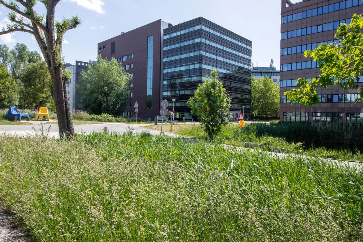 Bekijk foto 3 van Hullenbergweg 278-308