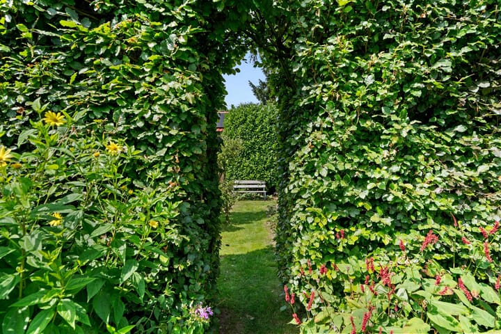 Foto 44 van Steijnweg 32