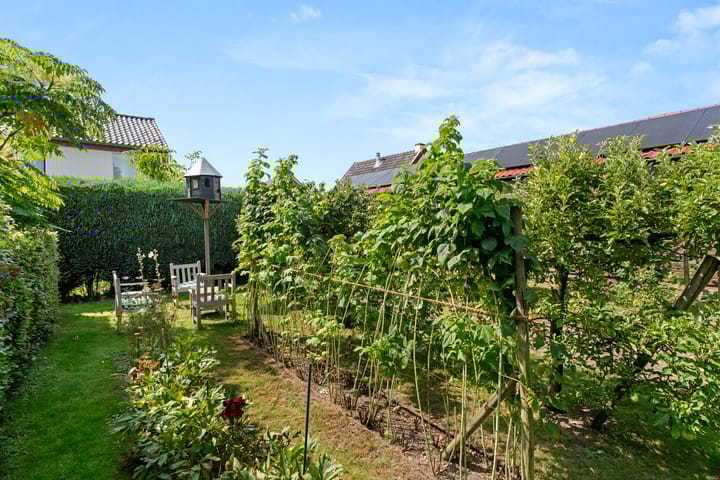 Foto 46 van Steijnweg 32