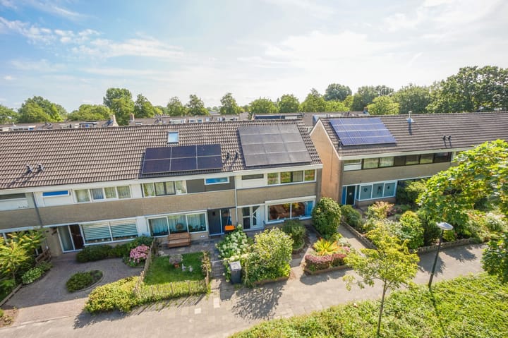 Foto 50 van C. van Everdingenlaan 12