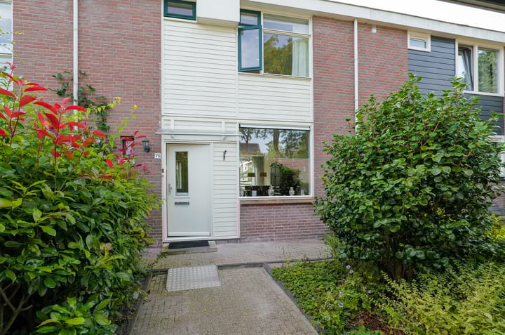 Foto 4 van Golfslag 70