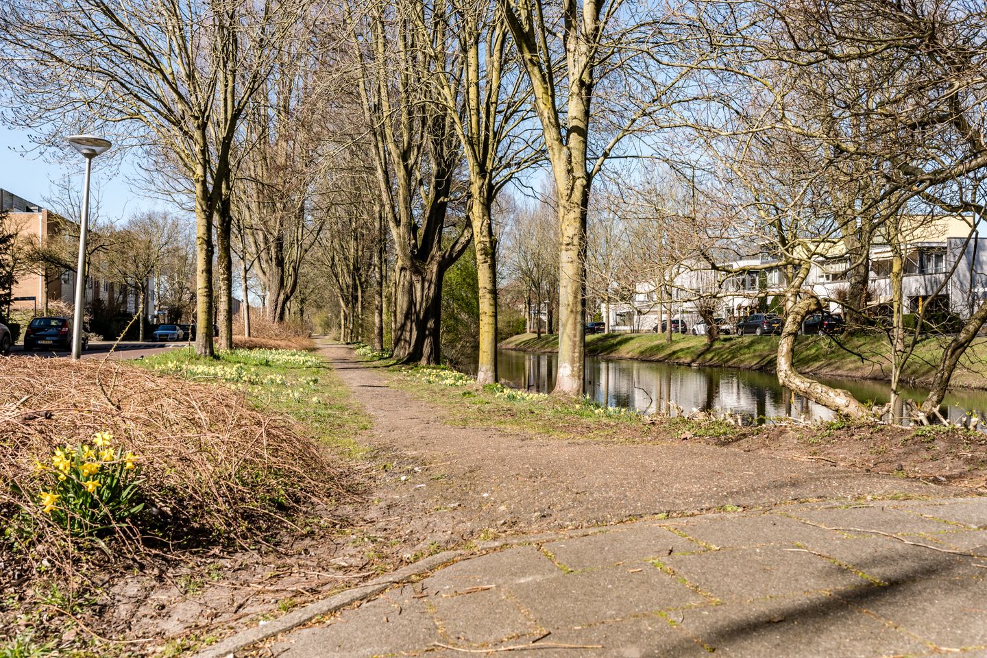 Photo 35 of Anne de Vrieslaan 2