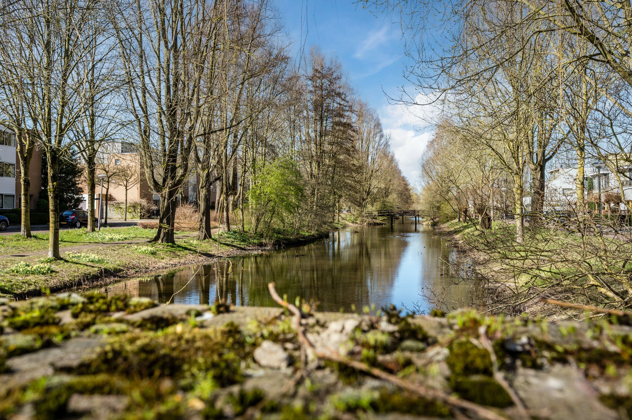 Photo 36 of Anne de Vrieslaan 2