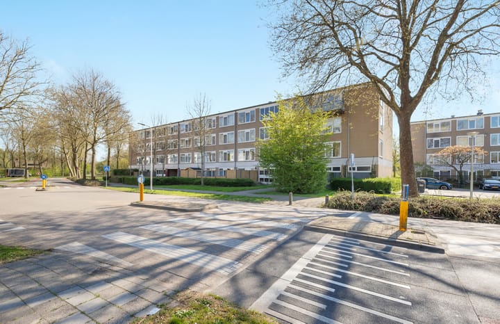 Foto 41 van Stereoplein 36