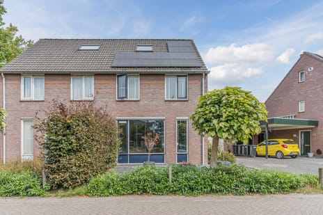 undefined main image