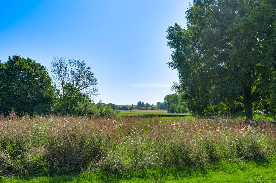 Photo 22 of Oude Molenweg 58