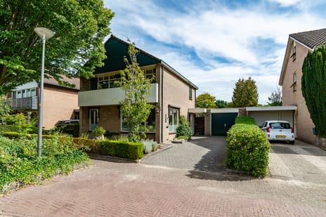 undefined main image