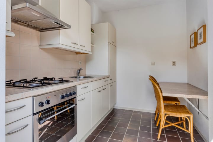 Foto 10 van Wit Hollandven 11