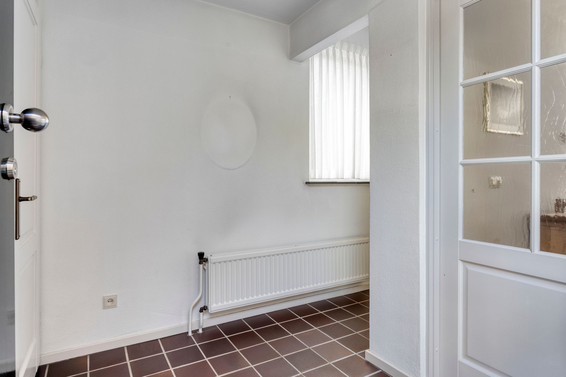 Photo 12 of Wit Hollandven 11