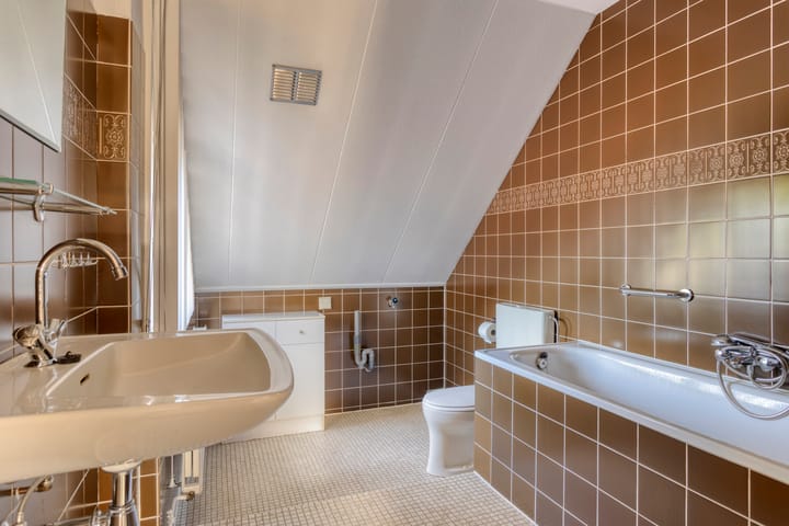 Foto 17 van Wit Hollandven 11