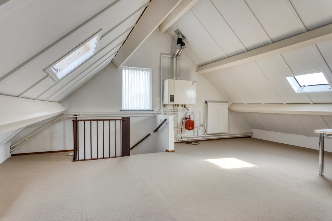 Photo 26 of Wit Hollandven 11