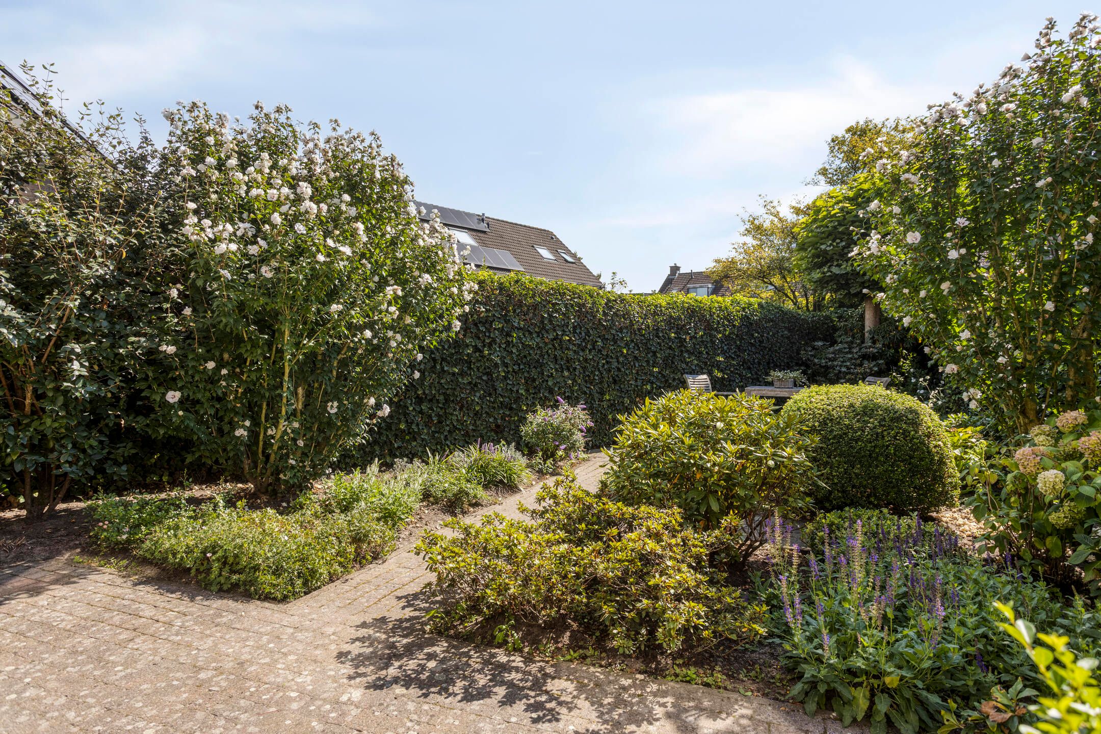 Photo 27 of Wit Hollandven 11