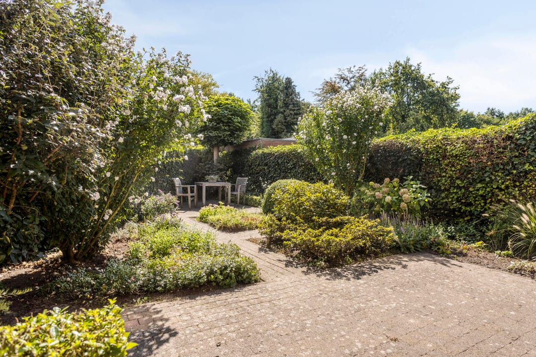 Photo 28 of Wit Hollandven 11