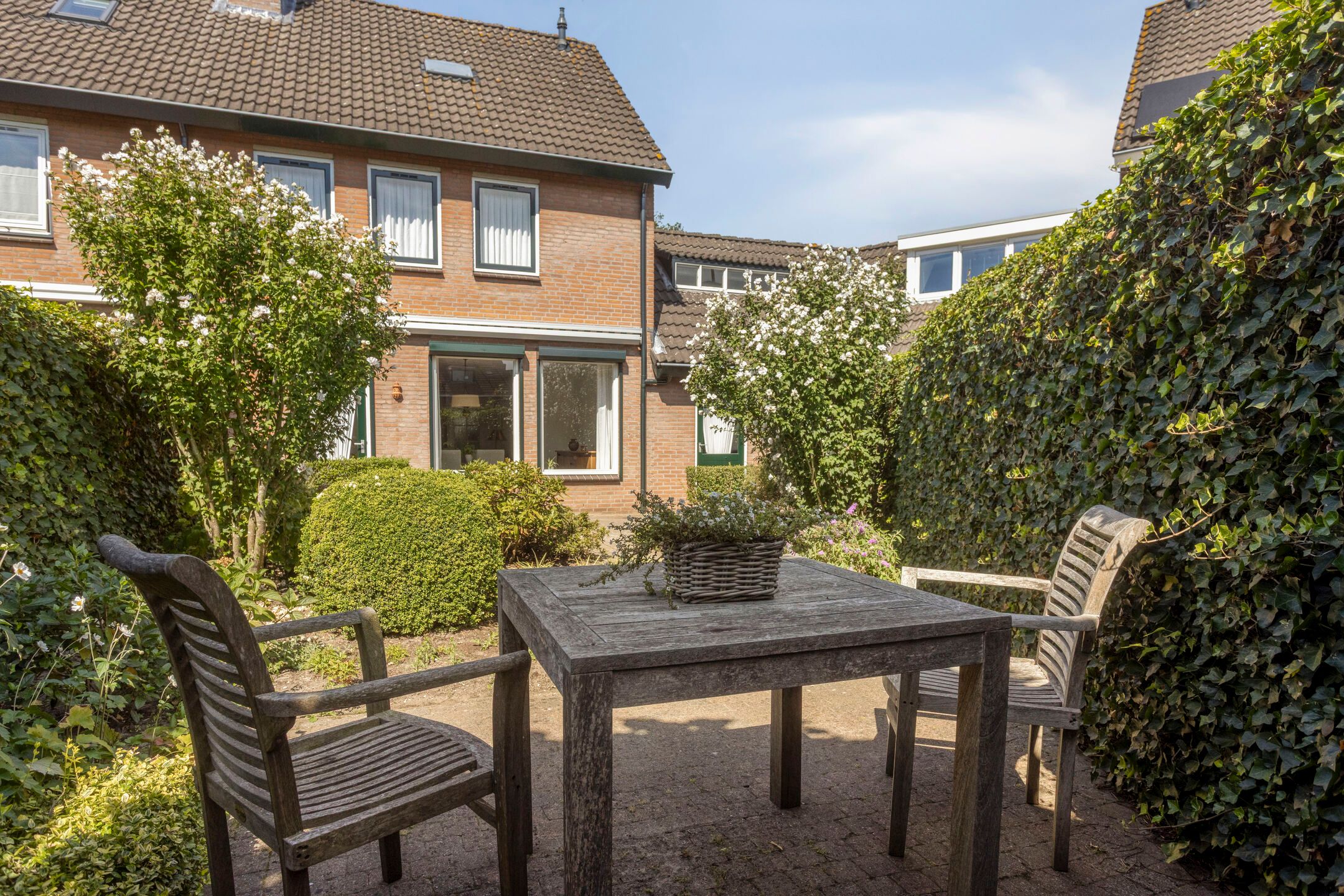 Photo 30 of Wit Hollandven 11