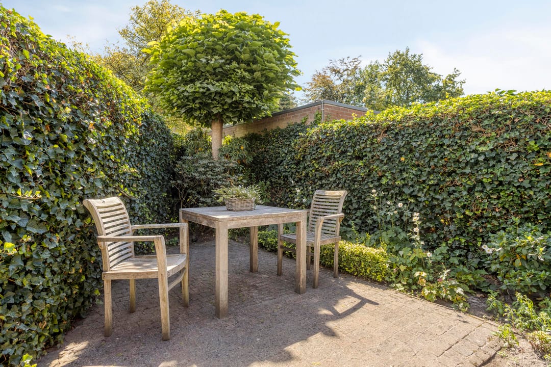 Photo 31 of Wit Hollandven 11