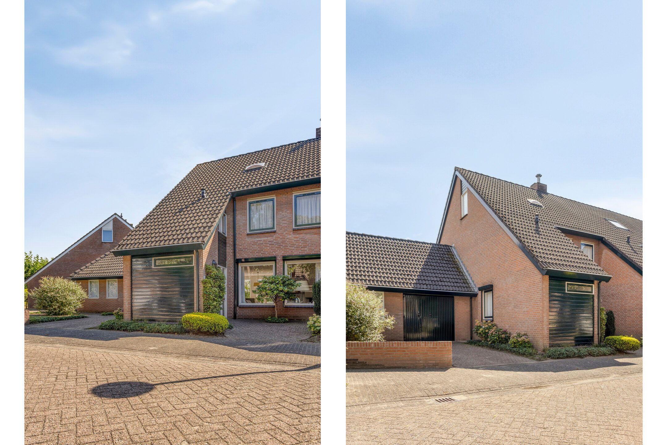 Photo 36 of Wit Hollandven 11