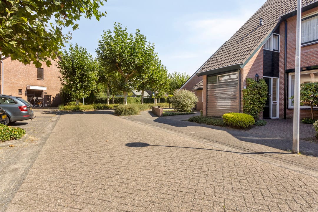 Photo 37 of Wit Hollandven 11