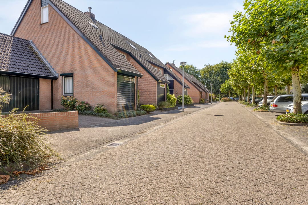 Photo 38 of Wit Hollandven 11