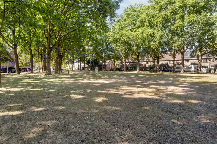 Foto 40 van Wit Hollandven 11