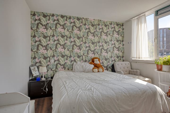 Foto 25 van Ernst Cahnsingel 52