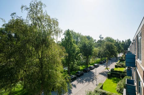 Hora Siccamasingel 91 tertiary image