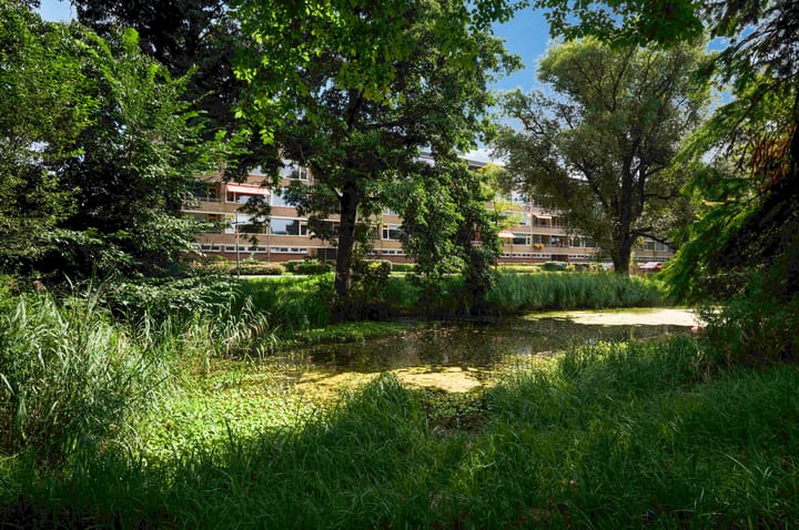 Foto 28 van Hora Siccamasingel 91