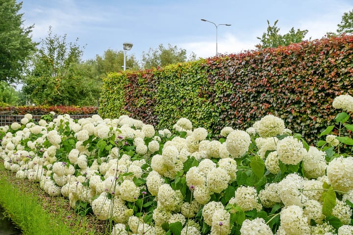 Foto 28 van Noordzijde 39