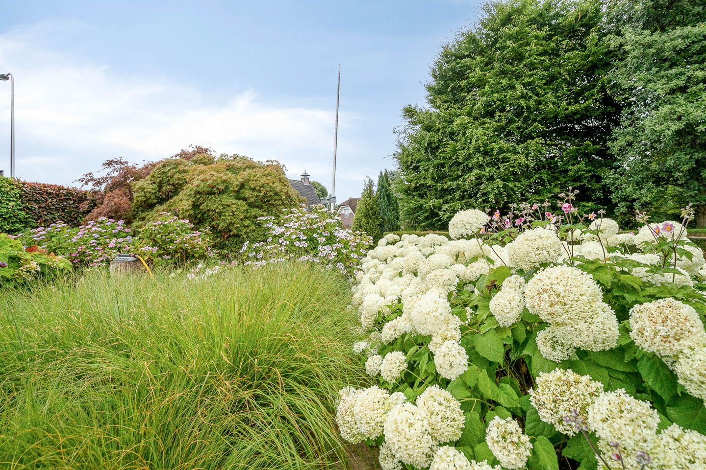 Photo 29 of Noordzijde 39