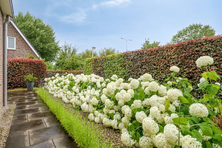 Foto 30 van Noordzijde 39