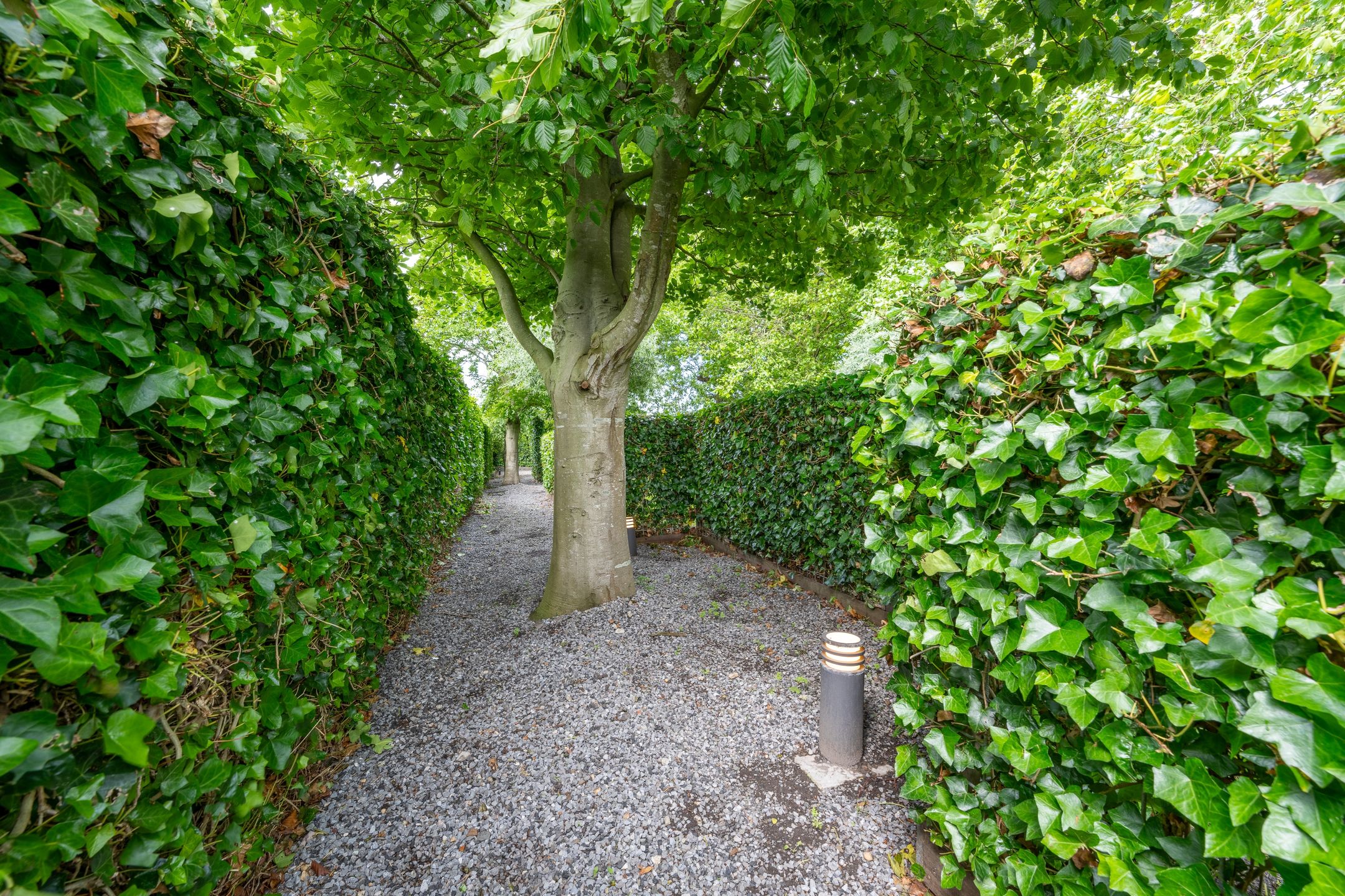 Foto 96 van Warder 174