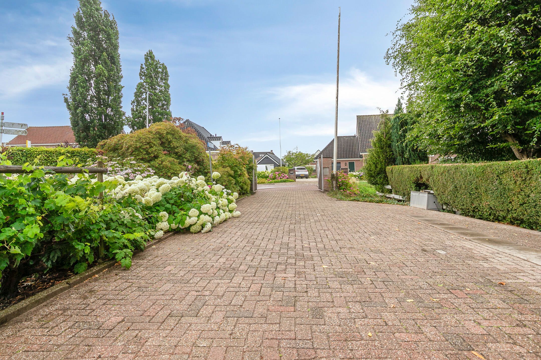 Photo 51 of Noordzijde 39